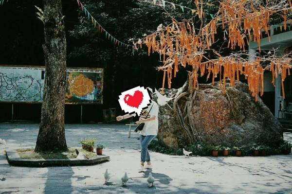 鲁网淄博“翰墨飘香 福送万家”新春走基层活动走进华瑞园