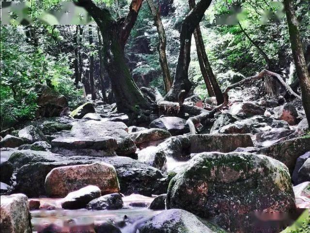 小球进黑洞